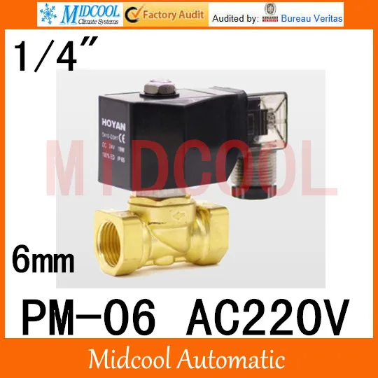 

High quality Low pressure gas solenoid valve brass port 1/4" AC220V PM-06 direct-acting normal close