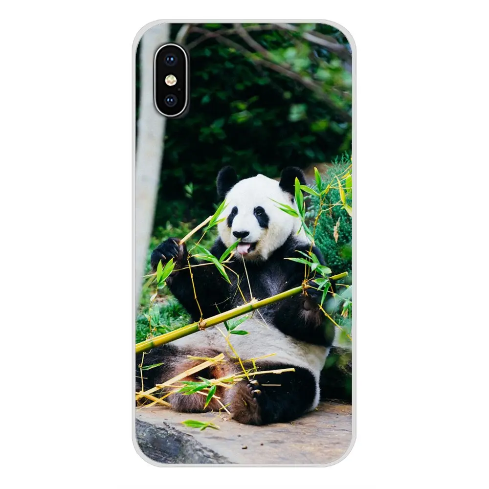 Чехлы для мобильных телефонов Samsung Galaxy S3 S4 S5 Mini S6 S7 Edge S8 S9 S10 Lite Plus Note 4 5 8 9 Animal Plant Panda