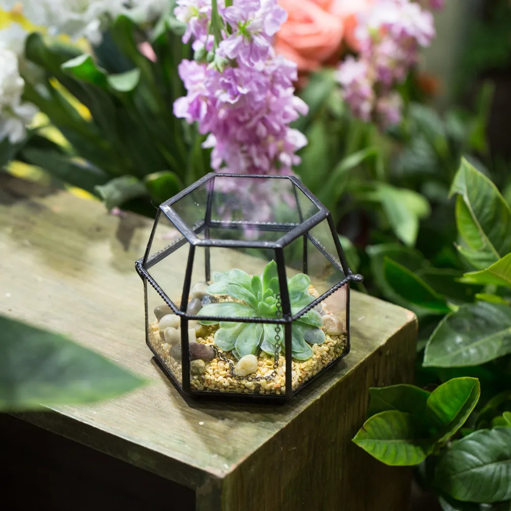 

Desktop Miniature Glass Geometric Jewelry box Terrarium Fern Moss Plant Succulent Planter Decorative Flower Pot Fairy Garden Pot