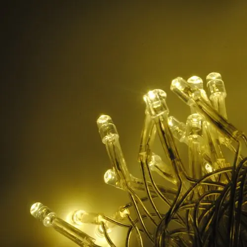 

5pcs/lot. Warm white 100 LED String Light 10M 220V/110V Holiday Decoration Light for Christmas Party Wedding Free Shipping