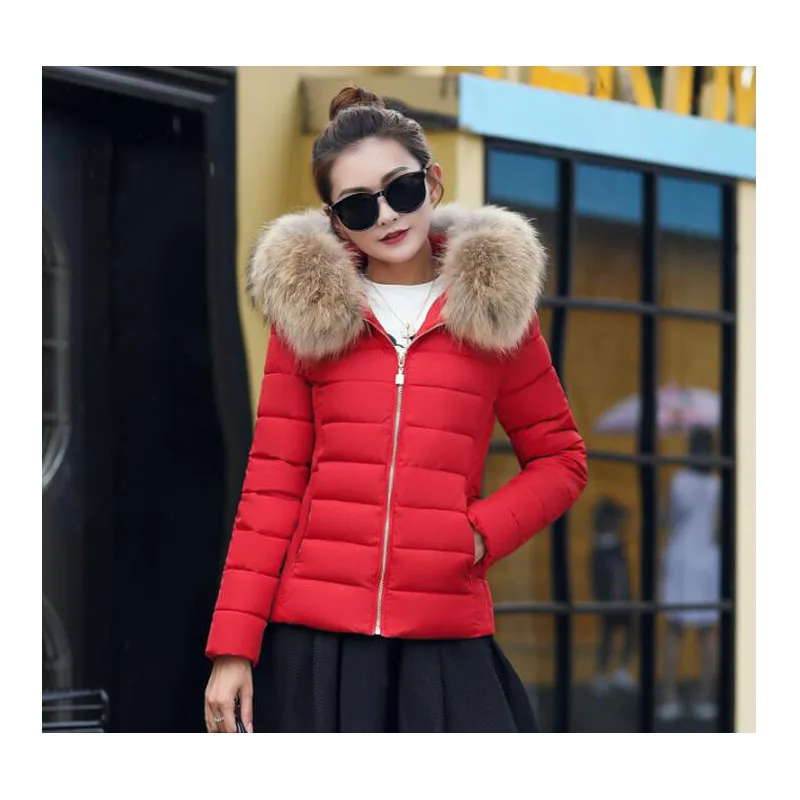Женская Стеганая куртка короткая стеганая парка зимняя AA 093 2019|Женские парки| |