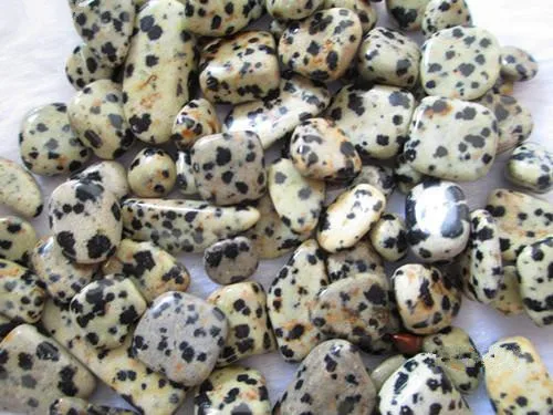 

100g Natural Dalmatian Jasper Polished Wholesale mineral specimens
