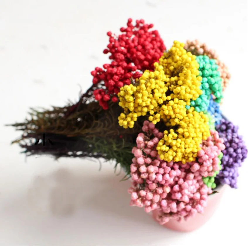 30 г Ozothamnus Diosmifolius консервированный цветок для свадебной вечеринки украшения дома