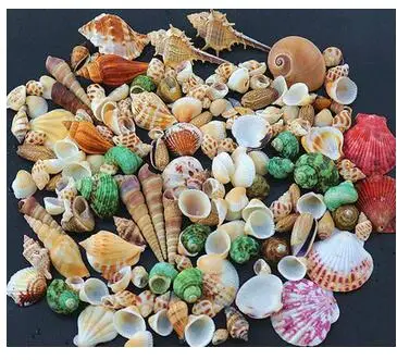 130 шт. ракушка Морская звезда платформа аквариум орнамент для декоративных