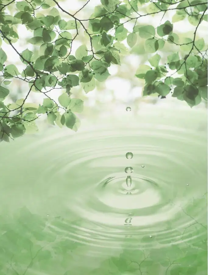 

High quality blackout bedroom curtains water green leaf custom curtains country bedroom curtains decorative home decor