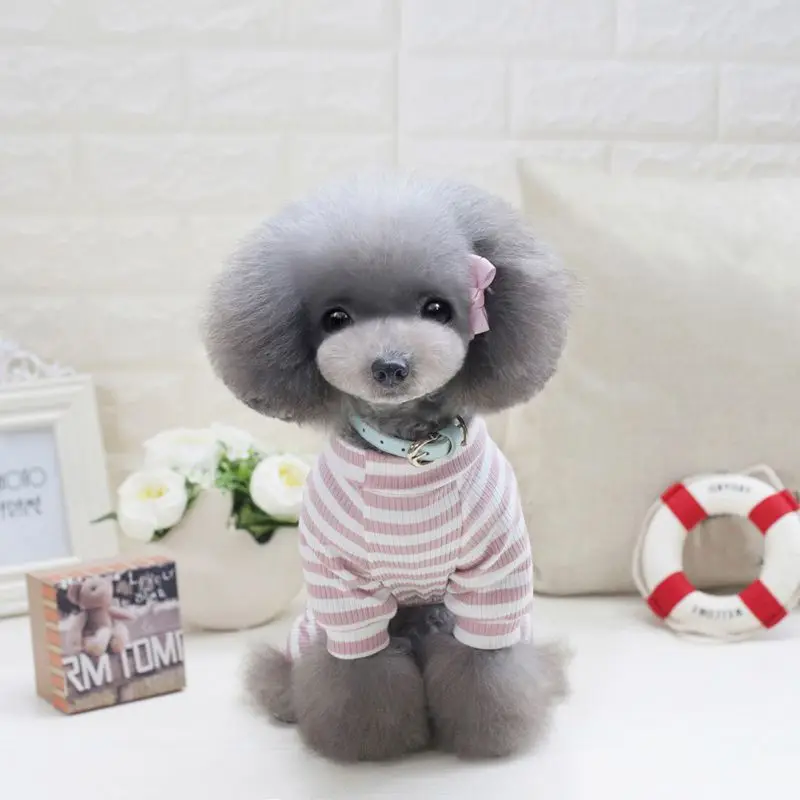 Полосатые фотообои для собак|dog jumpsuit|pajamas dogdog pajamas jumpsuits |