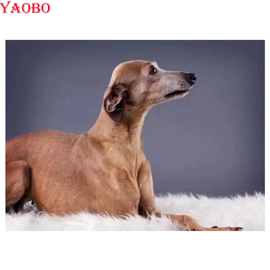 Алмазная 5D картина сделай сам с полными квадратными и круглыми стразами