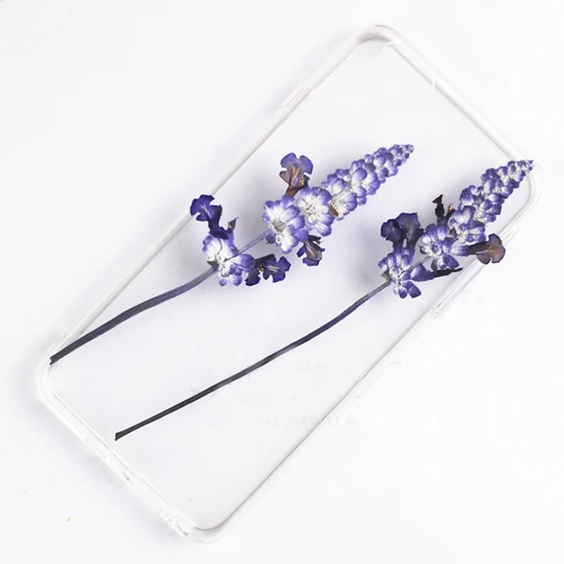 10 шт. сушеные натуральные синие цветы лаванды для ногтей|flowers for|natural dried flowersgift flower