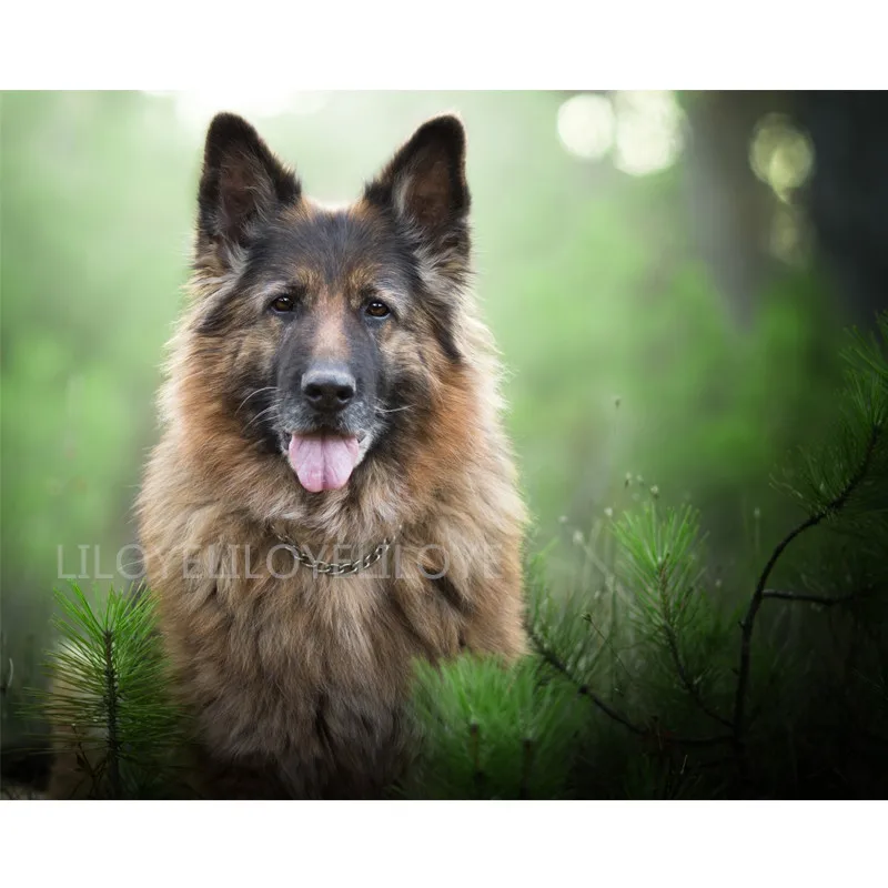 

5D Diy Diamond Painting Cross Stitch German Shepherd full square Diamond Embroidery Picture Mosaic puzzles New year gift TY39