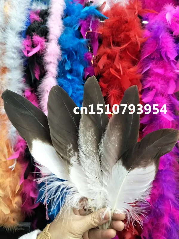 

wholesale 20pcs scarce natural golden eagle feathers 6-10inch /15-24cm Jewelry accessories stage performance decoration diy