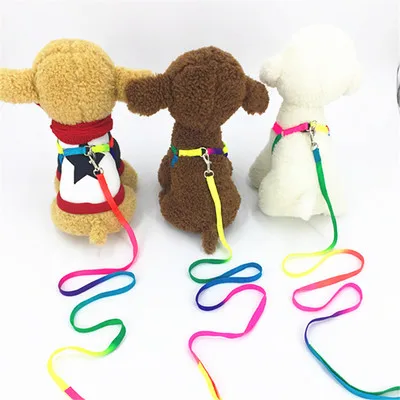 Pet Lead For Dog Cat Rabbit Harness Leash Small Dogs Adjustable Puppy Walk Out | Дом и сад