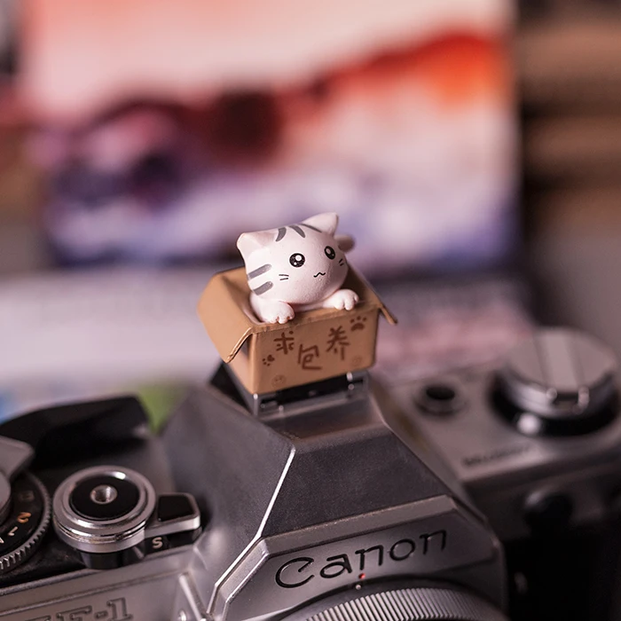 3D мультфильм камера Фонарик Горячий башмак Крышка для Canon Nikon Fujifilm samsung Panasonic Leica Olympus