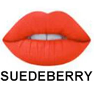 10 SUEDEBERRY Горячие Цвета блеск для губ стойкий жидкая матовая губная помада макияж блеск для губ ручка брендовая косметика - Цвет: 10 SUEDEBERRY