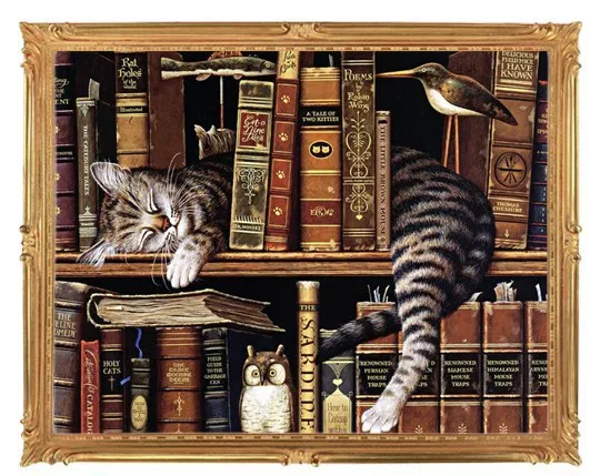 Мозаичная мозаика алмазная вышивка милая книжная полка сонный котенок бусины