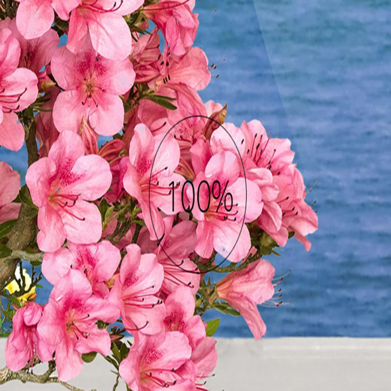 Настенная 3D ткань на заказ фотообои с изображением Морского Пейзажа окна