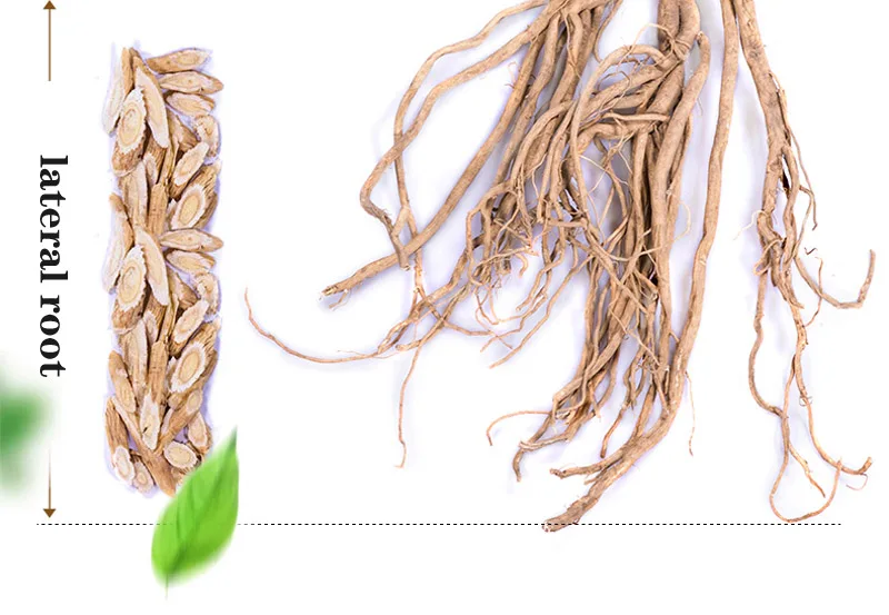 Astragalus Hoangtchy эффективная предотвращение и лечение гастрита язвы желудка освежает и укрепляет Immun тела