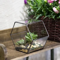 desktop geometric hexagon glass terrarium vertical garden bonsai terrarium succulent plant planter indoor flower pot flowerpot