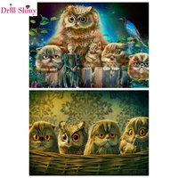 new 5d diy diamond painting animal cat and owllove family flower home decor embroidery needlework cross stitch mosaic gift