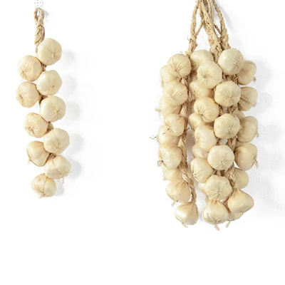 White Garlic 10pcs Креативные Горячие Искусственные Пены Овощи растение чеснок поддельные лук Кукуруза рыбы Висячие веревки украшение дома фотографии реквизит - Цвет: White Garlic 10pcs