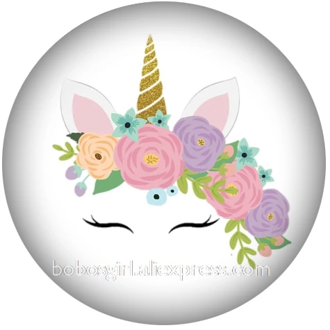 A6219 Единорог девушки мультфильм стекло Кнопки DIY ювелирные изделия круглые фото Кабошоны с плоской обратной стороной DA1186 - Окраска металла: A6219