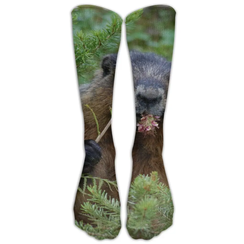 SAMCUSTOM Fashion Knee Socks Women Cotton High Over The Stockings For Ladies cute Marmota 3D Printing Long Stocking | Женская одежда