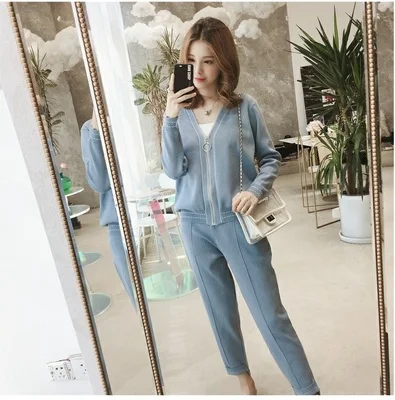 Осень шелк льда Трикотажные Женский комплект 2 шт. большого размера удобный