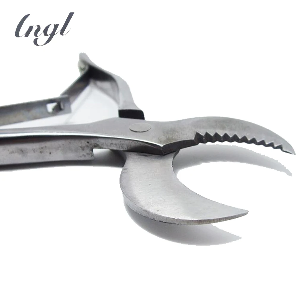 Ножницы для гипса длина 20 см гипс стоматологический дюйма | Красота и здоровье