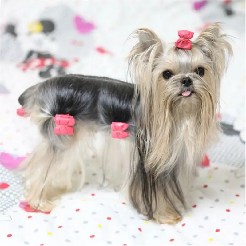 10PCS Bowknot Cute Dog Rubber Band Handmade Pet Grooming Accessories Mixed Ribbon Hair Bow Color random | Дом и сад