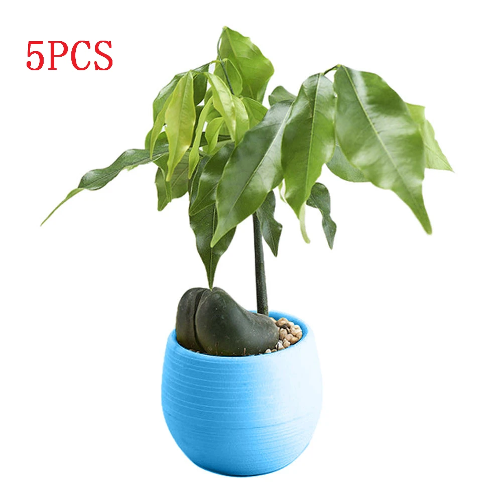 5 шт мини красочные круглые пластиковые растения Цветочный горшок сад домашний