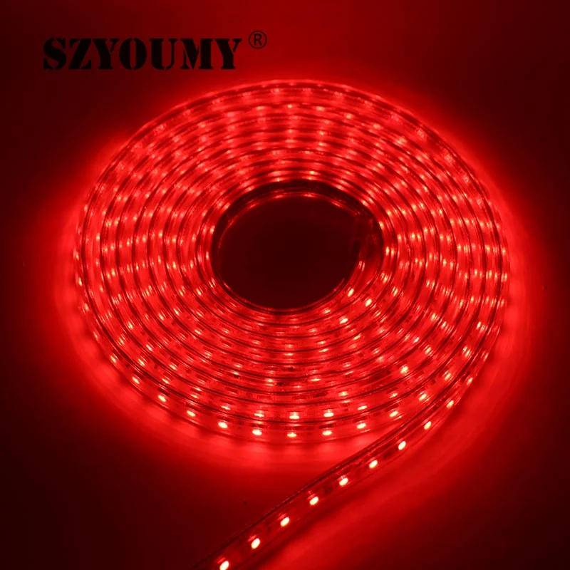SZYOUMY 220 V Светодиодные ленты 5050 50 м 100 IP67 Водонепроницаемый RGB/белый Цвет веревка для наружного освещения с Мощность контроллер