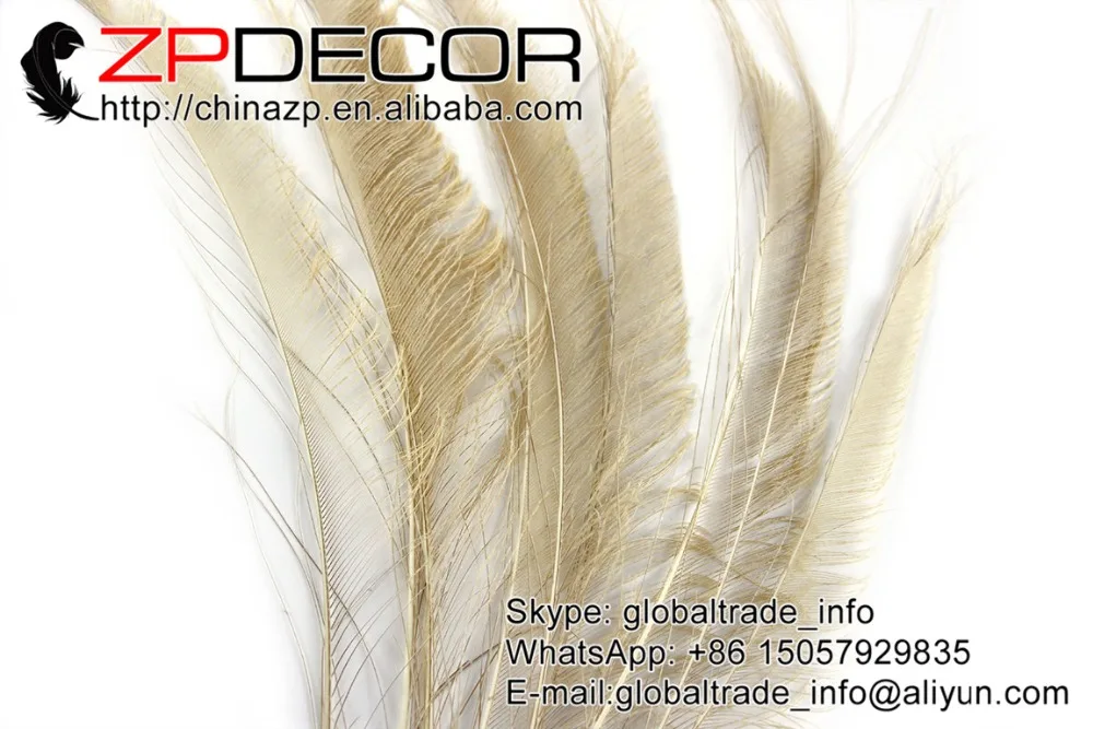 Фото ZPDECOR 50 шт./лот 30-40 см (12-16 дюймов) ручной выбор премиум качества цвета слоновой кости оптовая продажа павлиньих мечей ограненных перьев распро... №2