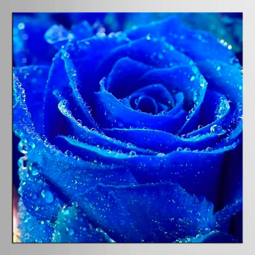 1 панель горячие современные декоративные красивые синие розы цветы картины на