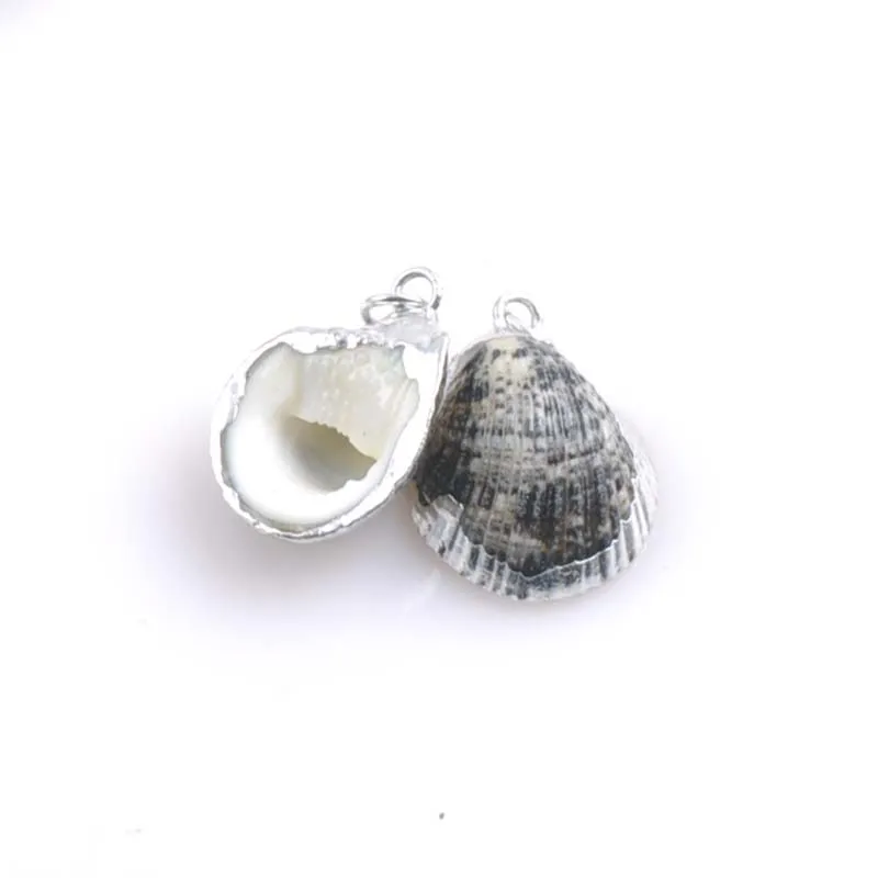 10 шт. спиральная раковина с посеребренным краем 20 23 мм|charm charm|charms naturecharms shell |