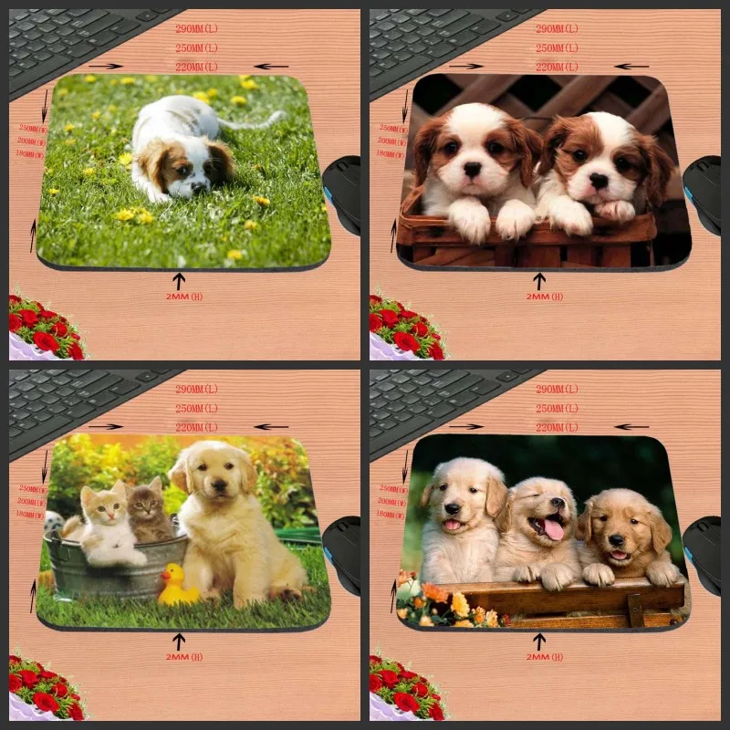 Модный 2017 новое поступление персонализированные любовные щенки Олден ретривер