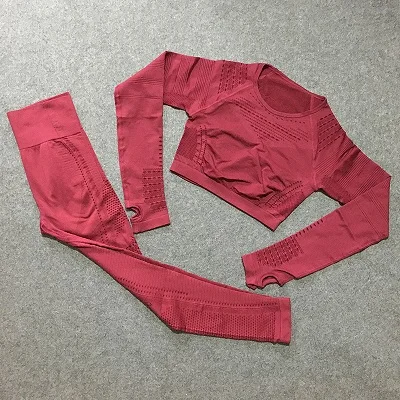 burgundy set Спортивный комплект из 2 предметов, тренировочная одежда для женщин, безупречный трикотажный топ с длинным рукавом+ бесшовные леггинсы, комплект из 2 предметов для йоги - Цвет: burgundy set