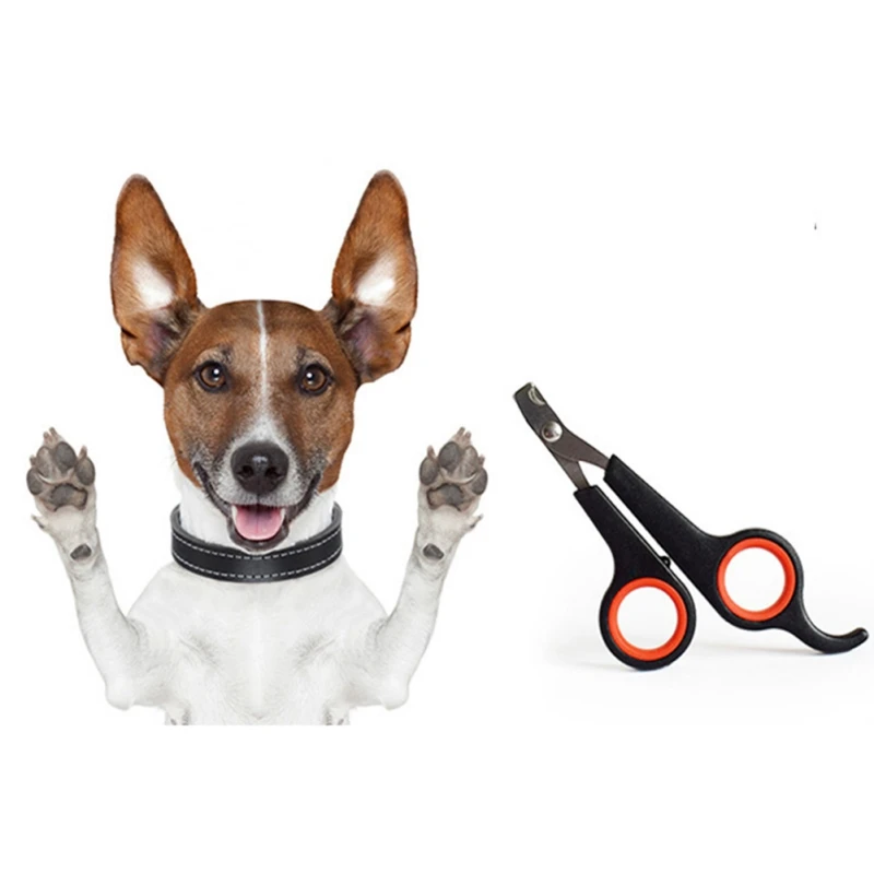 

HOT SALE Pet Multi Colors Optional Plastic Stainless Steel Nail Clippers for Small Medium Dogs HIGH QUALITY