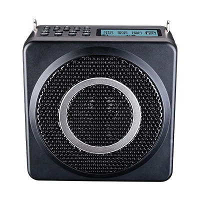 Takstar E260W 2 4G беспроводной портативный усилитель двойной динамик звуковой катушки
