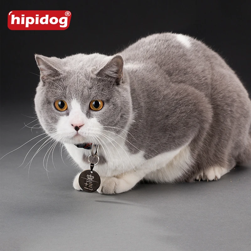 Hipidog Бесплатная гравировка из нержавеющей стали ПЭТ Id метки собака кошка имя Pet ID