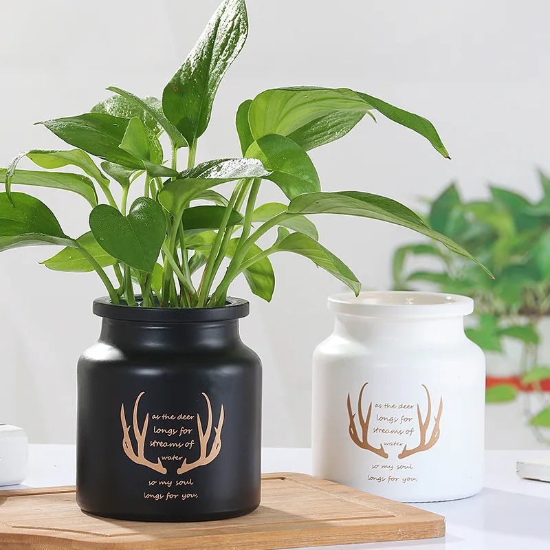 Скандинавские черные и белые стеклянные вазы гидропоника цветок растения для