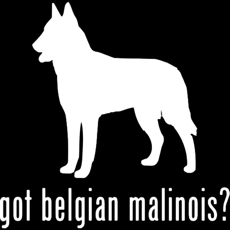 YJZT 15*15 см Виниловая наклейка на окно автомобиля с изображением животных|vinyl decal|dog
