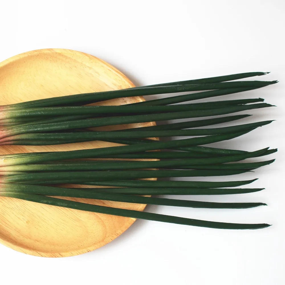 Искусственный шалот картина модель украшения дома фотография шоу реквизит