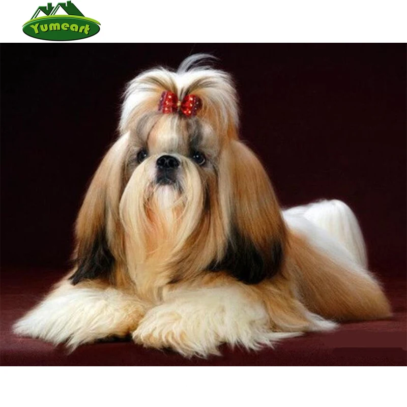 5DIY Алмазная вышивка с животными Shih Tzu Pet Dog алмазная живопись крестиком 3D мозаика