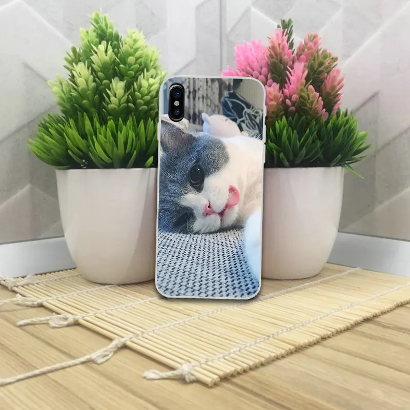 Мягкие ТПУ Силиконовые чехлы для мобильных телефонов iPhone 4 4S 5 5S 5C SE 6 6s 7 8 Plus X XR XS Max