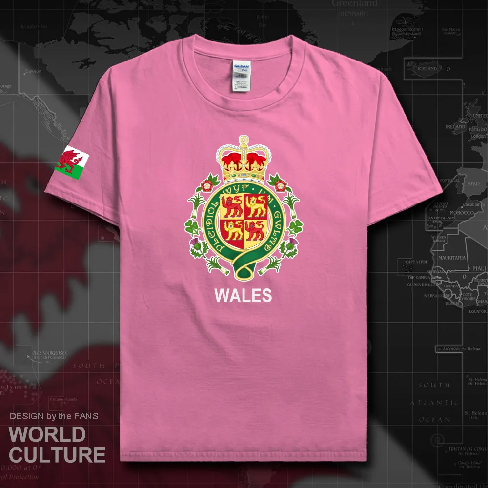 Футболка для мужчин Wales Cymru Повседневная хлопковая с принтом в виде звезд фитнеса