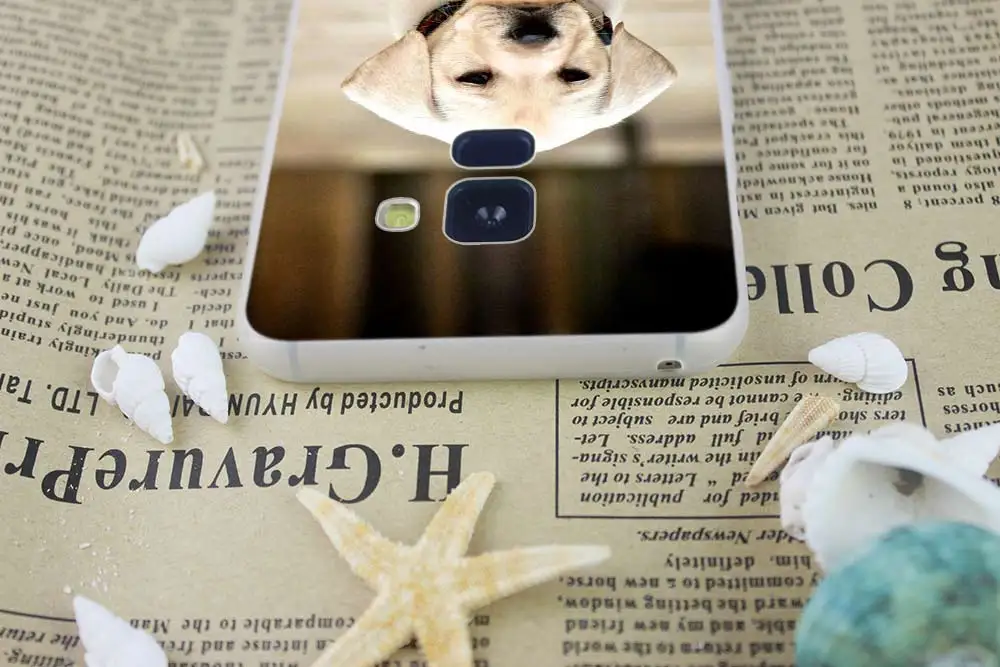 Собак ретривера Лабрадора чехол для телефона для samsung Galaxy A10 A20 A30 A40 A50 A60 A70 A6 A8 плюс A7 A9 A3 A5 чехол Coque