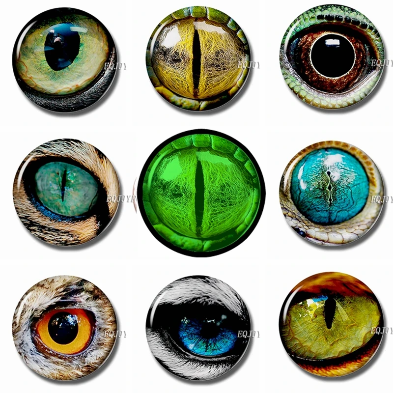 Магниты на холодильник с изображением глаз животных стеклянный купол светящиеся