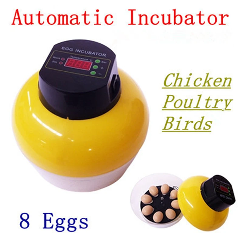 Новый 8 яйца Автоматический Инкубатор Куриного Мяса Птицы Перепела Eggtester