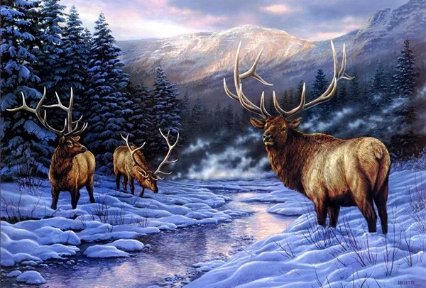 14/16/18/28 Lovely Counted Cross Stitch Kit Elegance Elegant Abbi Lady Snowing park Deers snowing forest | Дом и сад