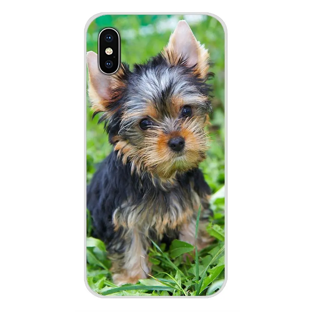 Прозрачный чехол из ТПУ Airedale Terrier dog art для Oneplus 3T 5T 6T Nokia 2 3 5 6 8 9 230 3310 1 7 Plus 2017 2018 |