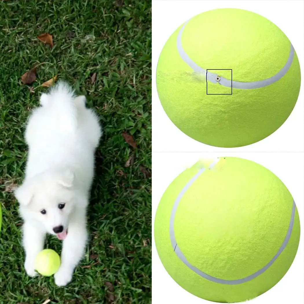 9 5 дюймов стрейч для домашних животных Спортивные товары тенниса на открытом